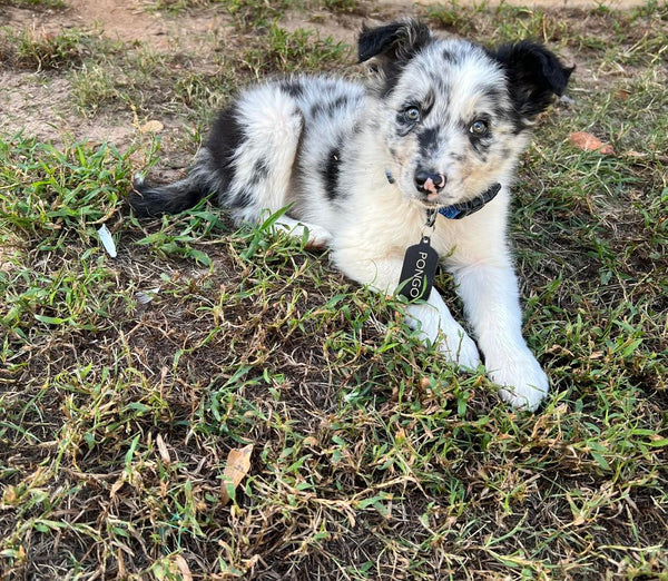 Product photo by Elizabeth F.