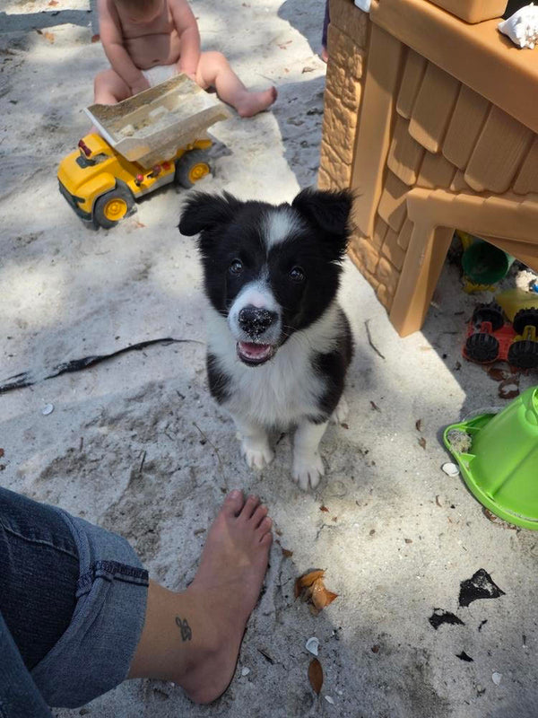 Product photo by Kristen J.